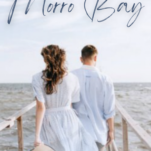 Book Cover, couple holding hands near water